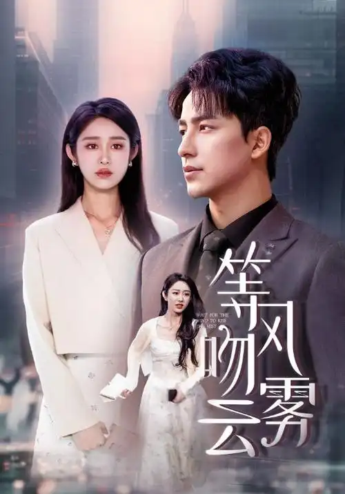 韩剧在线观看-寂静的合同剧照